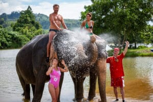 Elephant Bathing - Mr. Moo Tour Khao Lak