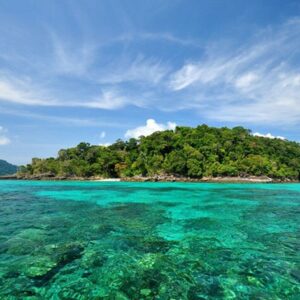 Phi Phi Island - Mr Moo Tours