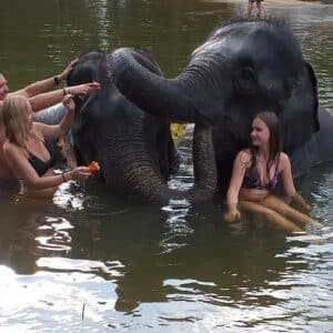 Mr-Moo-Tours-Khaolak-Elephant-bathing