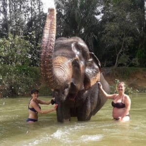 Elephant Bathing