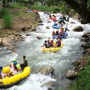 White Water Rafting with Elephant Bathing or ATV