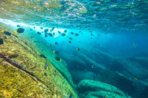 Similan Island - Mr. Moo Tours Khao Lak